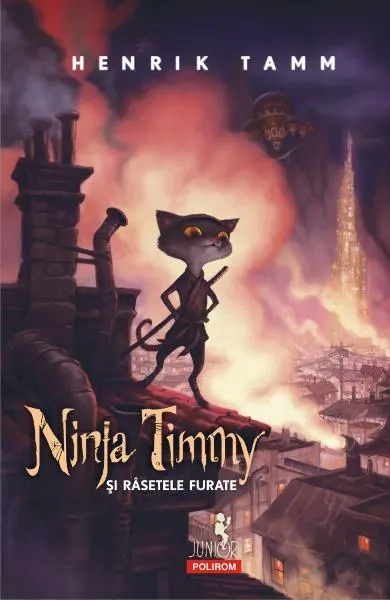 Coperta cărții Ninja Timmy si rasetele furate