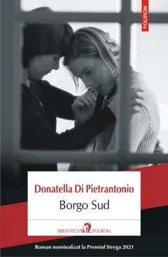 Coperta cărții Borgo Sud