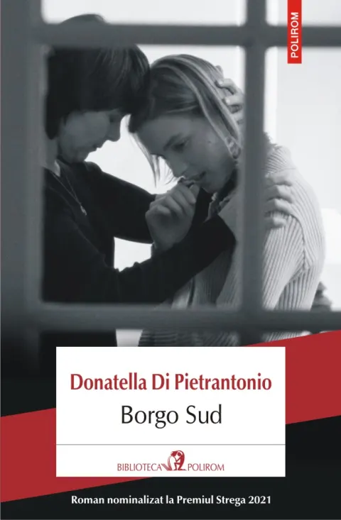 Coperta cărții Borgo Sud