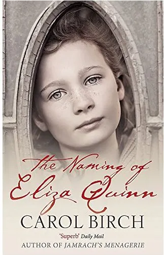 Coperta cărții The Naming Of Eliza Quinn