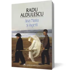 Coperta cărții Ana Maria și îngerii