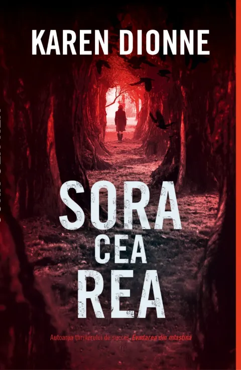 Coperta cărții Sora cea rea