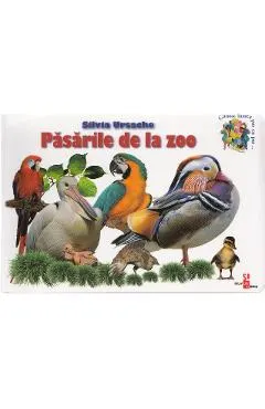 Coperta cărții Pasarile de la zoo