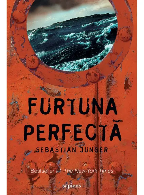 Coperta cărții Furtuna perfectă