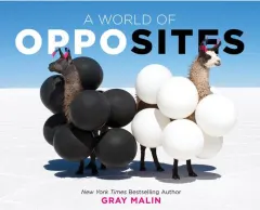 Coperta cărții A World of Opposites A Picture Book