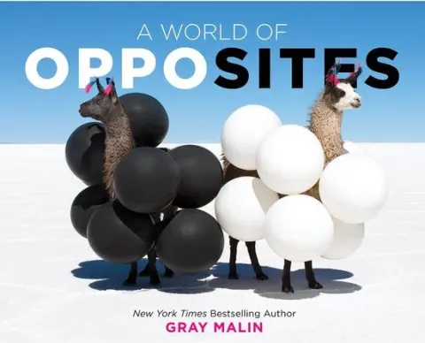 Coperta cărții A World of Opposites A Picture Book