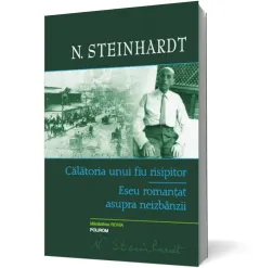 Coperta cărții Călătoria unui fiu risipitor. Eseu romanțat asupra neizbânzii