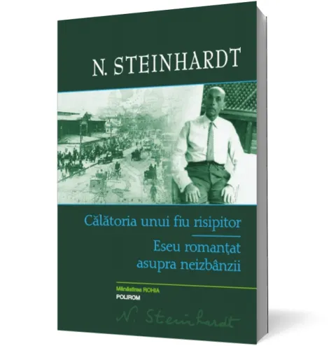 Coperta cărții Călătoria unui fiu risipitor. Eseu romanțat asupra neizbânzii