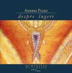 Coperta cărții Despre îngeri (mp3)