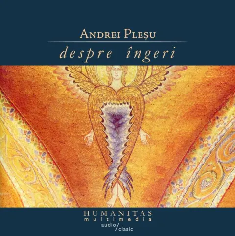 Coperta cărții Despre îngeri (mp3)