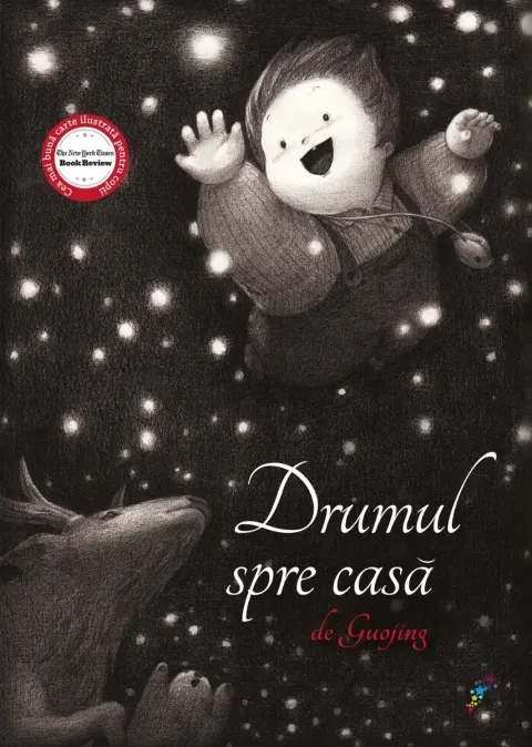 Coperta cărții Drumul spre casă