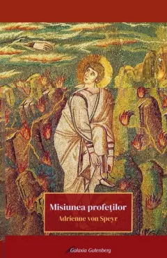 Coperta cărții Misiunea profetilor
