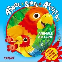 Coperta cărții Atinge, simte, asculta - Animale din lume. Carte sonora, atinge si simte