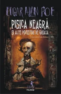 Coperta cărții Pisica neagră și alte povestiri de groază