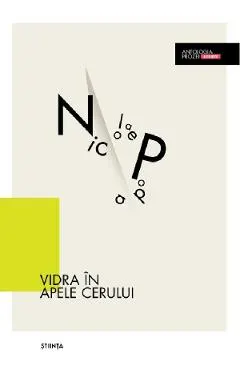 Coperta cărții Vidra in apele cerului
