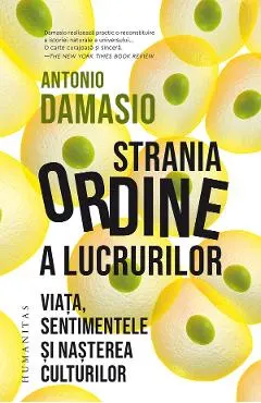 Coperta cărții Strania ordine a lucrurilor