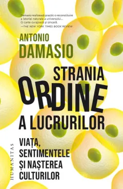 Coperta cărții Strania ordine a lucrurilor