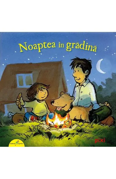 Coperta cărții Noaptea in gradina