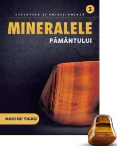 Coperta cărții Ochi de tigru slefuit. Volumul 3. Mineralele Pamantului