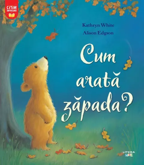 Coperta cărții Cum arata zapada?