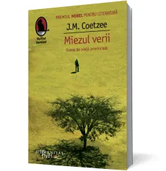 Coperta cărții Miezul verii. Scene de viață provincială