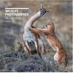 Coperta cărții Wildlife Photographer of the Year, Rosamund Kidman Cox