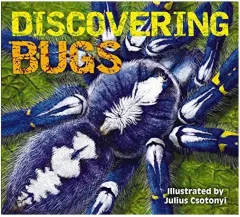 Coperta cărții Discovering Bugs