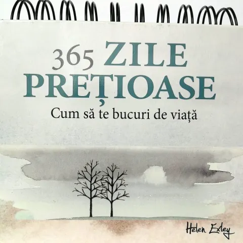 Coperta cărții 365 zile pretioase
