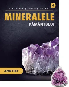 Coperta cărții Ametist. Volumul 4. Mineralele Pamantului
