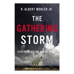 Coperta cărții Gathering Storm