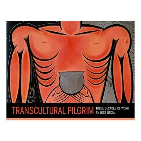 Coperta cărții Transcultural pilgrim