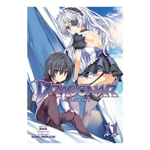 Coperta cărții Dragonar Academy Vol. 11