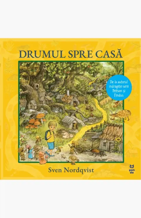 Coperta cărții Drumul spre casă