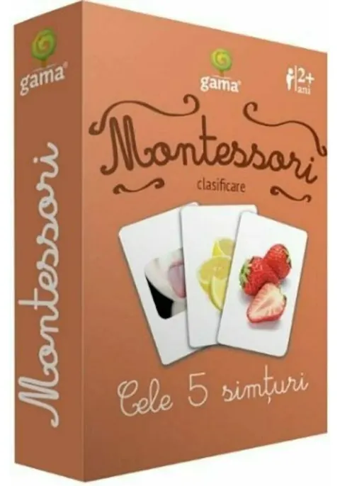 Coperta cărții Montessori. Clasificare: Cele 5 simturi