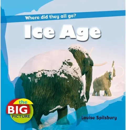 Coperta cărții Ice Age (The Big Picture)