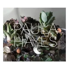 Coperta cărții Paula Hayes