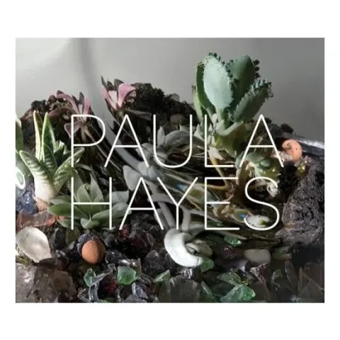 Coperta cărții Paula Hayes
