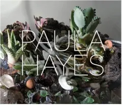 Coperta cărții Paula Hayes