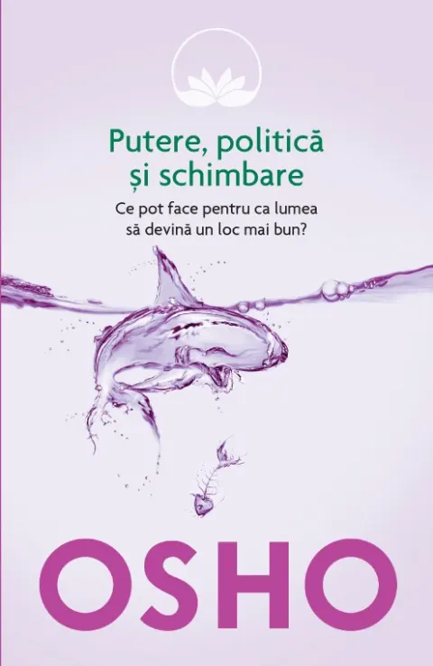 Coperta cărții Putere, politica si schimbare