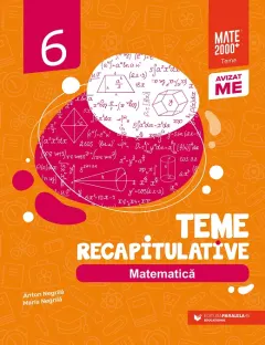 Coperta cărții Matematica. Teme recapitulative. Clasa a VI-a