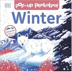 Coperta cărții Winter