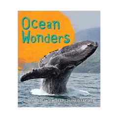 Coperta cărții Ocean wonders
