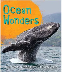 Coperta cărții Ocean wonders