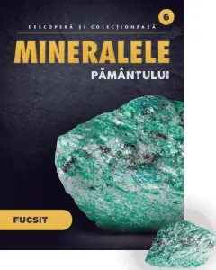 Coperta cărții Fucsit. Volumul 6. Mineralele Pamantului