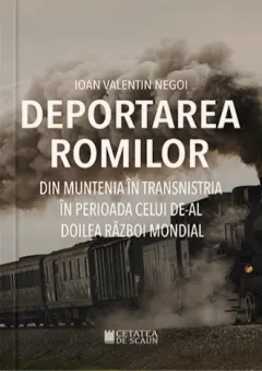 Coperta cărții Deportarea romilor din Muntenia în Transnistria în timpul celui de-Al Doilea Război Mondial