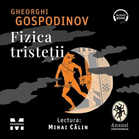 Coperta cărții Fizica tristeții (audiobook)