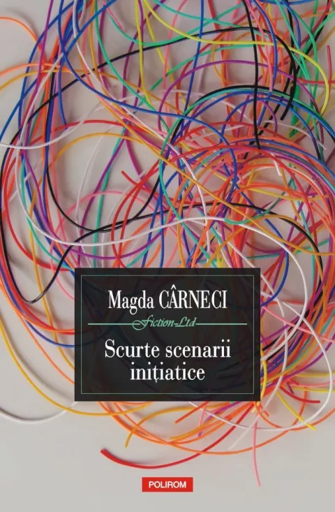Coperta cărții Scurte scenarii inițiatice