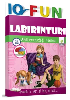Coperta cărții Labirinturi