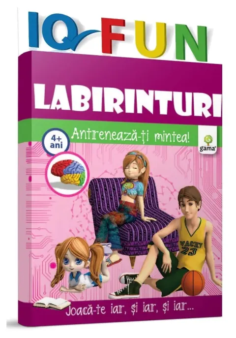 Coperta cărții Labirinturi
