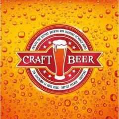 Coperta cărții Craft Beer